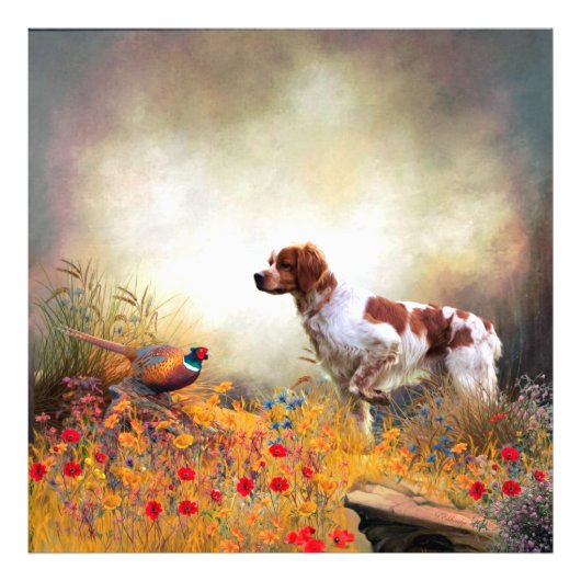 Brittany Spaniel, Hunting Pheasant Foto Afdruk (Voorkant)