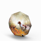 Brittany Spaniel, Hunting Pheasant Fotoblokken (Rechts)