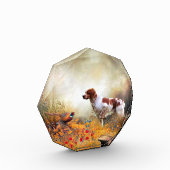 Brittany Spaniel, Hunting Pheasant Fotoblokken (Links)