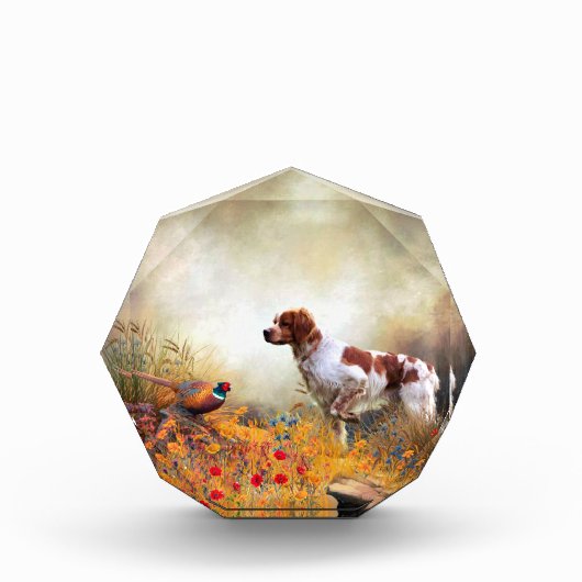 Brittany Spaniel, Hunting Pheasant Fotoblokken (Voorkant)