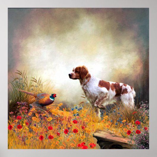 Brittany Spaniel, Hunting Pheasant Poster (Voorkant)
