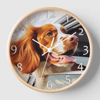 Brittany spaniel in autoruit