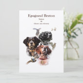 Brittany Spaniel Kaart (Staand voorkant)