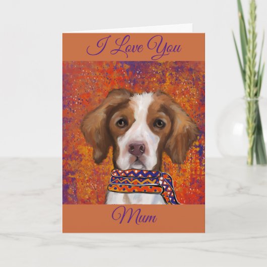 Brittany Spaniel         Kaart (Voorkant)