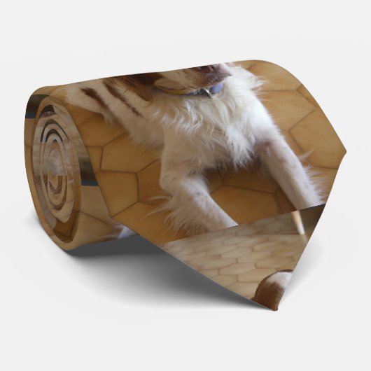 brittany spaniel leg stropdas (Opgerold)