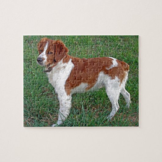 Brittany Spaniel Legpuzzel (Horizontaal)