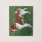 Brittany Spaniel Legpuzzel (Verticaal)