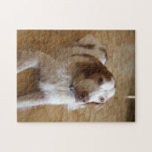 brittany spaniel ligt legpuzzel (Horizontaal)