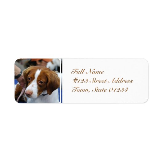 Brittany Spaniel Mailing Labels (Voorkant)