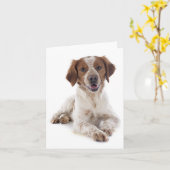 Brittany Spaniel Puppy Dog Blank Note Kaart (Gele Bloem)