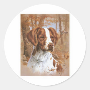Brittany Spaniel Ronde Sticker
