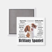 Brittany Spaniel Traits Magneet (Voorkant / Achterkant)