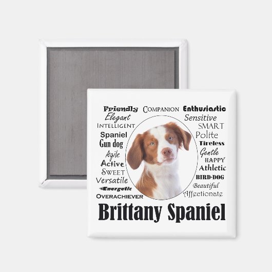 Brittany Spaniel Traits Magneet (Voorkant / Achterkant)