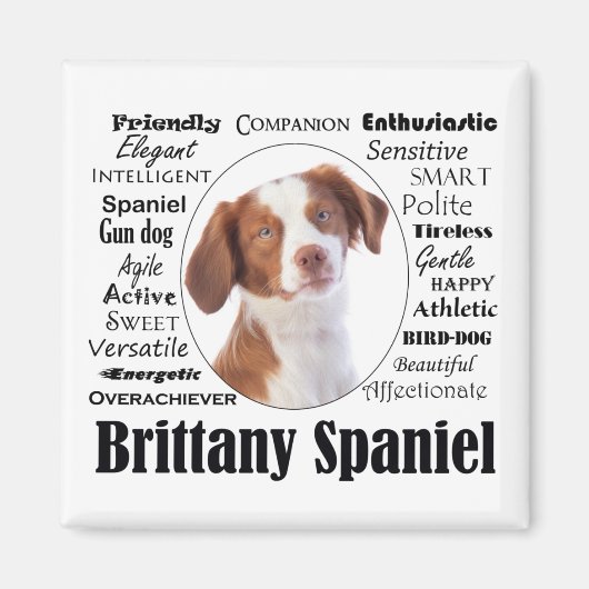 Brittany Spaniel Traits Magneet (Voorkant)
