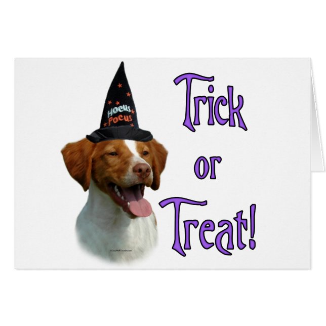 Brittany Spaniel Trick (Voorkant Horizontaal)