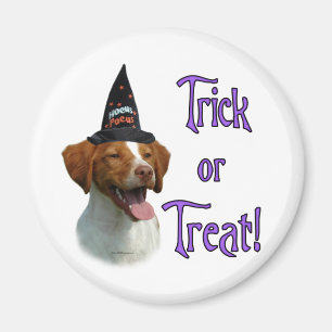 Brittany Spaniel Trick Magneet