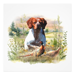 Brittany Spaniel – Veld, Focus, Fazant, Kunst  Foto Afdruk