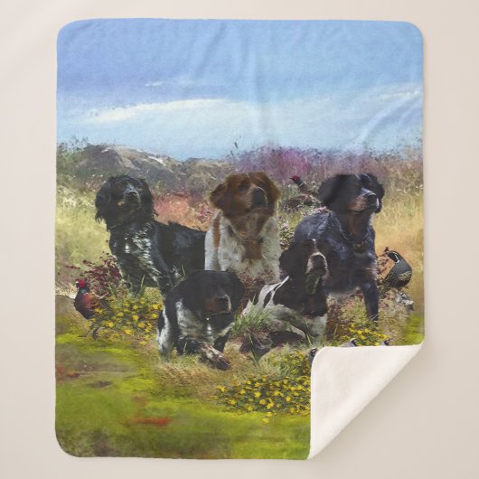 Brittany Spaniels,   Vogeljacht    Sherpa Deken (Voorkant)