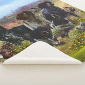Brittany Spaniels,   Vogeljacht    Sherpa Deken (3/4)