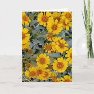 Brittlebush Flowers Wenskaart_Customizable Kaart