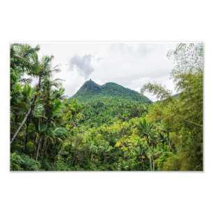 Britton en el-yunque landschap foto afdruk