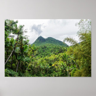 Britton en el-yunque landschap poster