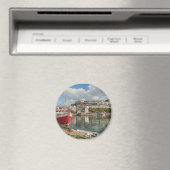 Brixham Magneet (Insitu (Vaatwasser))
