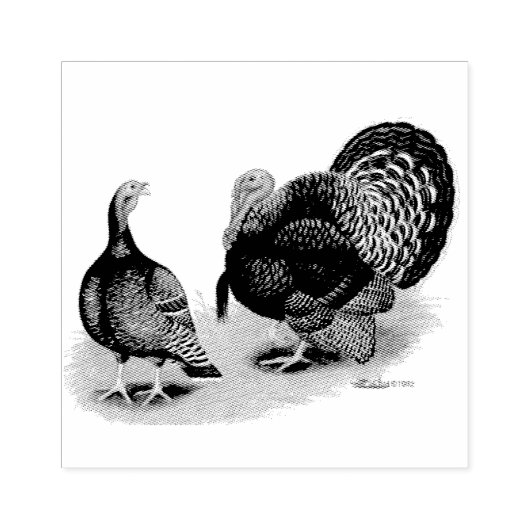 Broad Breasted Bronze Rubberstempel (Afrduk)