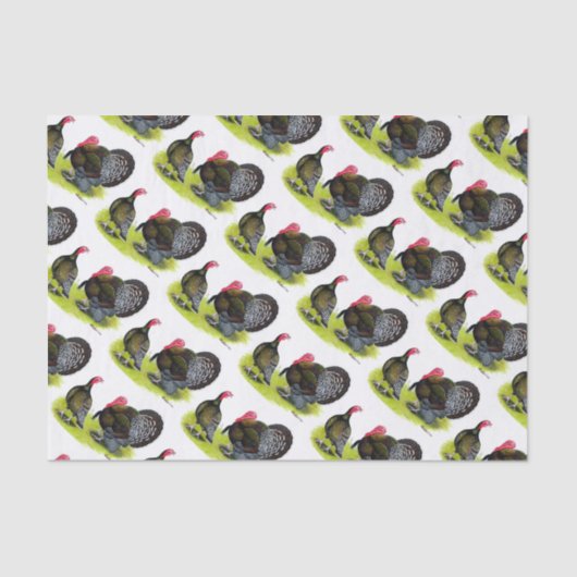 Broad Breasted Bronze Tissuepapier (Voorkant)