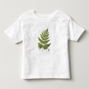Broad Prickly-toothed Buckler Fern, geschilderd te Kinder Shirts