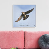 Broad Winged Hawk Canvas Afdruk (Insitu (Woonkamer))