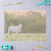 Broadfoot Mare Tissuepapier (Craft)