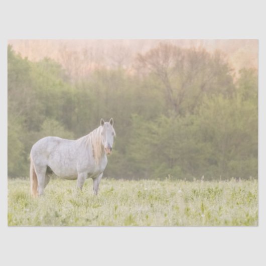 Broadfoot Mare Tissuepapier (Voorkant)