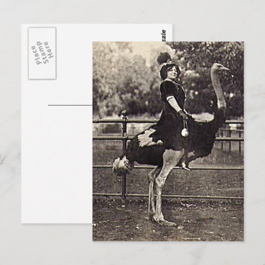  Broadway Actress Ridt een struisvogel uit Briefkaart (Voorkant / Achterkant)