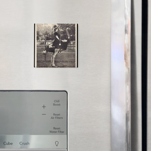 Broadway Actress Ridt een struisvogel uit Magneet (Insitu (Koelkast))