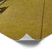 Broadway, Los Angeles 1916  Poster (Hoek)