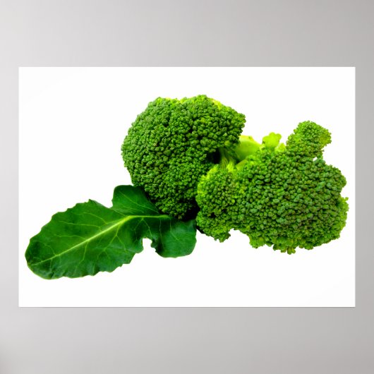 Broccoli 28 x 20 inch, Value Poster Paper (Matte) (Voorkant)