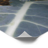 Broccoli afdrukken poster (Hoek)