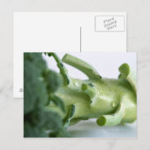 Broccoli Briefkaart (Voorkant / Achterkant)