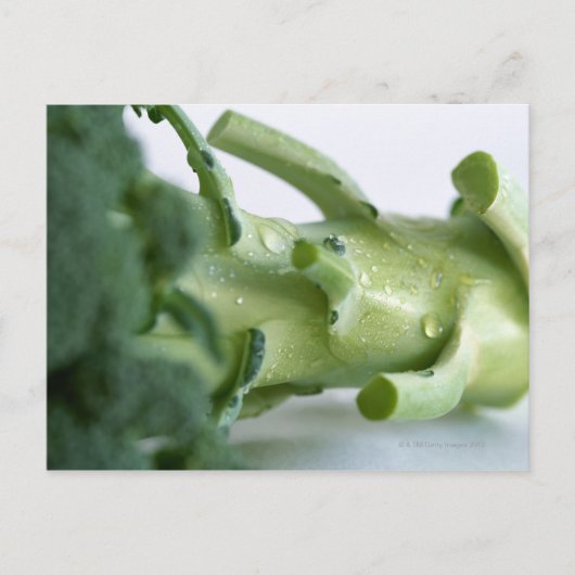 Broccoli Briefkaart (Voorkant)