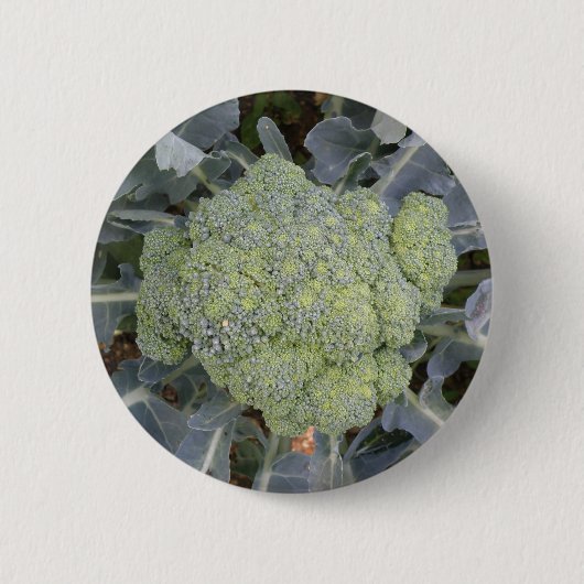 Broccoli-Button Ronde Button 5,7 Cm (Voorkant)