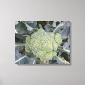Broccoli Canvas afdrukken (Voorkant)