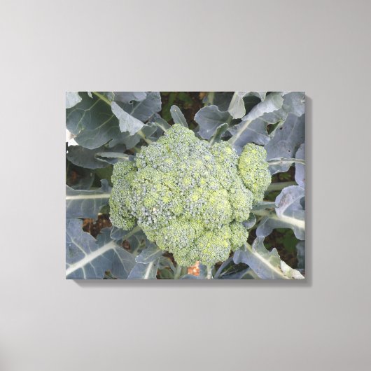 Broccoli Canvas afdrukken (Voorkant)