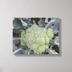 Broccoli Canvasprint Canvas Afdruk
