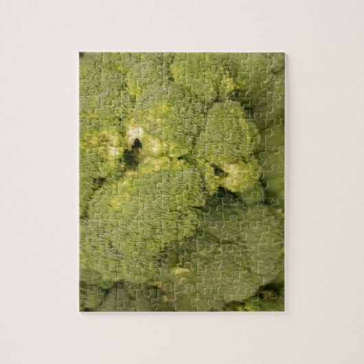 Broccoli Legpuzzel (Verticaal)