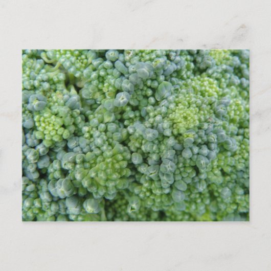 Broccoli Macro Briefkaart (Voorkant)