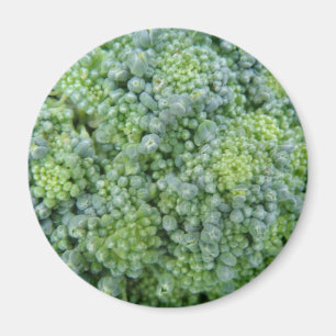 Broccoli Macro Magnet Magneet
