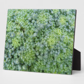 Broccoli Macro Plaque Fotoplaat (Zijkant)