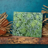 Broccoli Macro Plaque Fotoplaat (Zijkant)