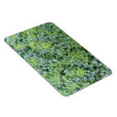 Broccoli Macro Premium magneet (Rechterzijde)